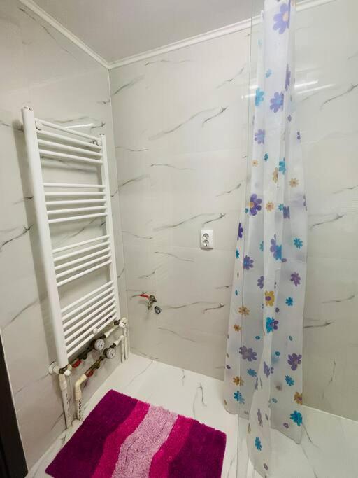 Lavender Luxury Apartment Oradea Luaran gambar