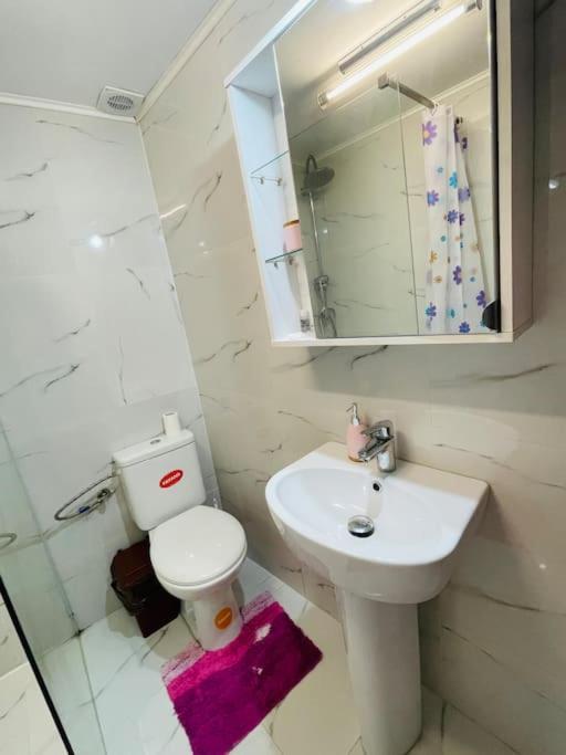 Lavender Luxury Apartment Oradea Luaran gambar